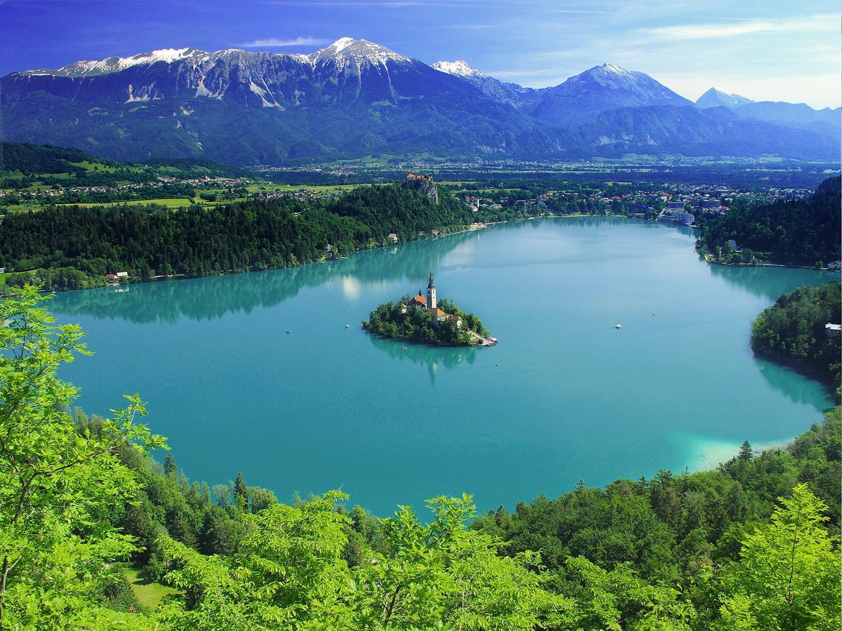Apartments Dolzan Bled Zewnętrze zdjęcie